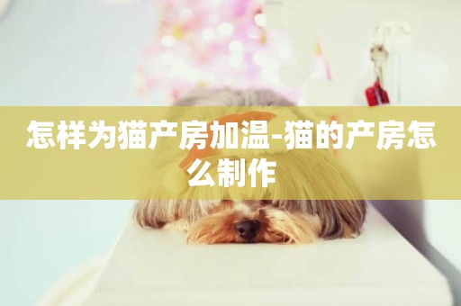 怎樣為貓產房加溫-貓的產房怎么制作