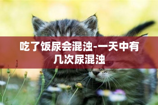 吃了飯尿會混濁-一天中有幾次尿混濁