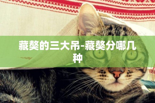 藏獒的三大吊-藏獒分哪幾種