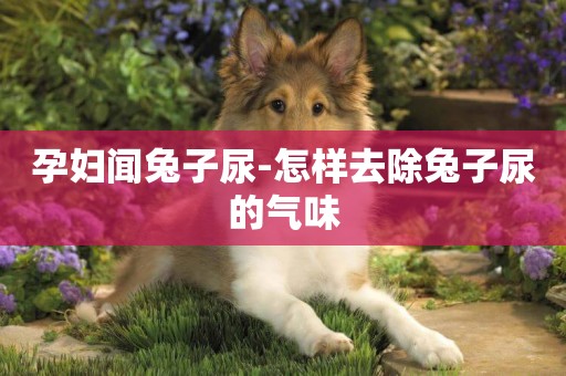 孕婦聞兔子尿-怎樣去除兔子尿的氣味