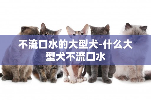 不流口水的大型犬-什么大型犬不流口水