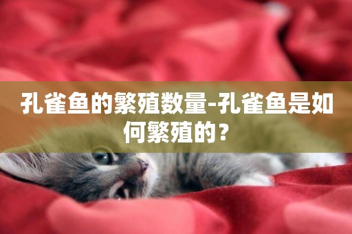 孔雀魚的繁殖數量-孔雀魚是如何繁殖的？