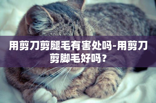 用剪刀剪腿毛有害處嗎-用剪刀剪腳毛好嗎？