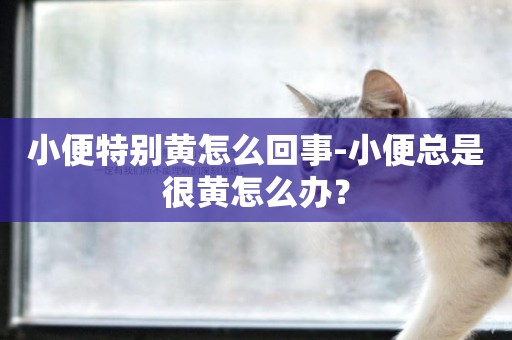 小便特別黃怎么回事-小便總是很黃怎么辦？
