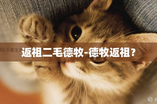 返祖二毛德牧-德牧返祖？