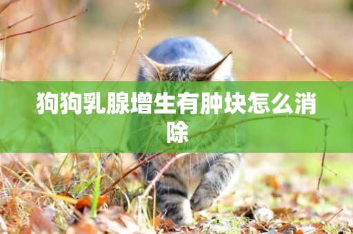 狗狗乳腺增生有腫塊怎么消除