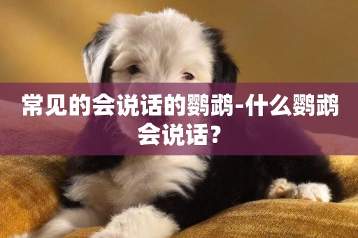 常見的會說話的鸚鵡-什么鸚鵡會說話？