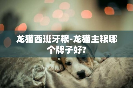 龍貓西班牙糧-龍貓主糧哪個牌子好?