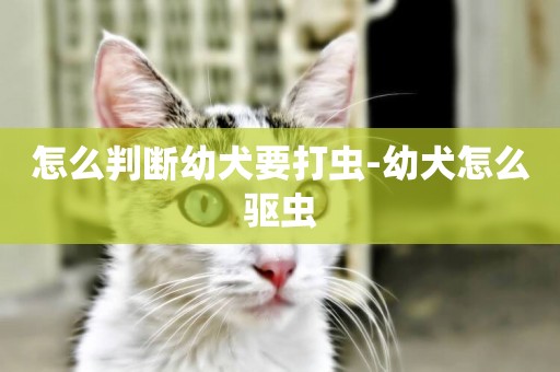怎么判斷幼犬要打蟲-幼犬怎么驅蟲