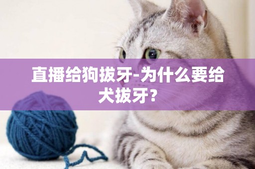 直播給狗拔牙-為什么要給犬拔牙？