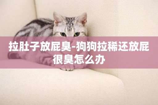 拉肚子放屁臭-狗狗拉稀還放屁很臭怎么辦