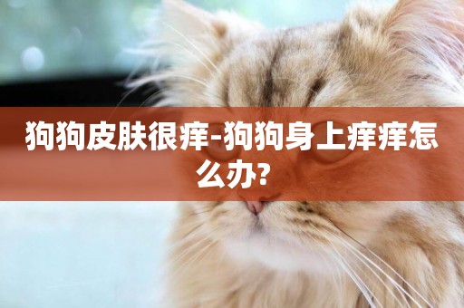 狗狗皮膚很癢-狗狗身上癢癢怎么辦?