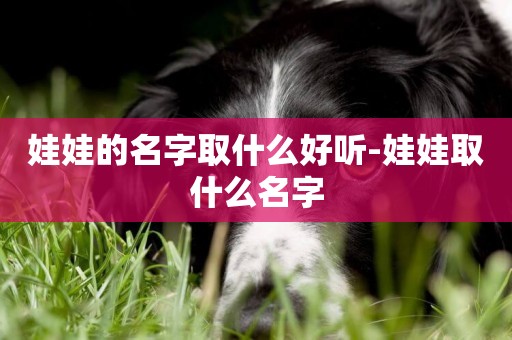 娃娃的名字取什么好聽-娃娃取什么名字