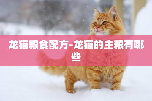 龍貓糧食配方-龍貓的主糧有哪些