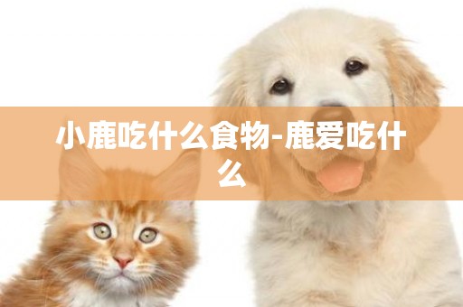 小鹿吃什么食物-鹿愛吃什么