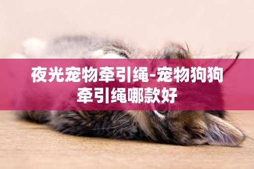 夜光寵物牽引繩-寵物狗狗牽引繩哪款好