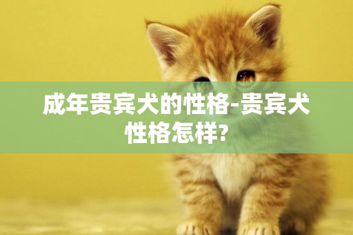 成年貴賓犬的性格-貴賓犬性格怎樣?