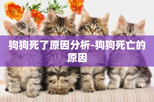 狗狗死了原因分析-狗狗死亡的原因