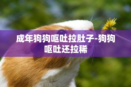 成年狗狗嘔吐拉肚子-狗狗嘔吐還拉稀