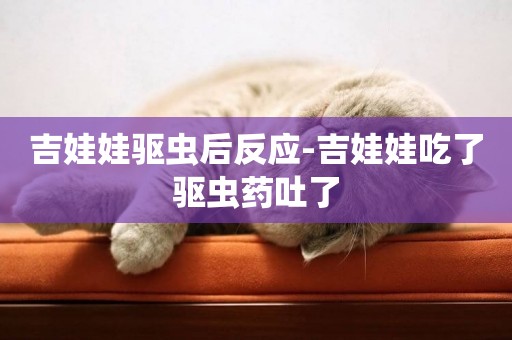 吉娃娃驅蟲后反應-吉娃娃吃了驅蟲藥吐了