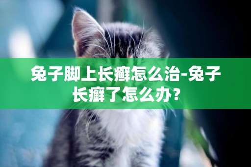 兔子腳上長癬怎么治-兔子長癬了怎么辦？