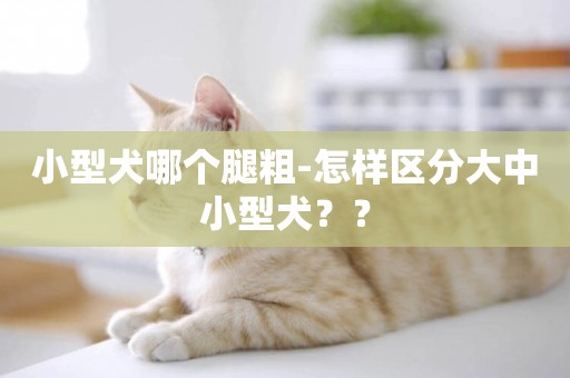 小型犬哪個腿粗-怎樣區分大中小型犬？？
