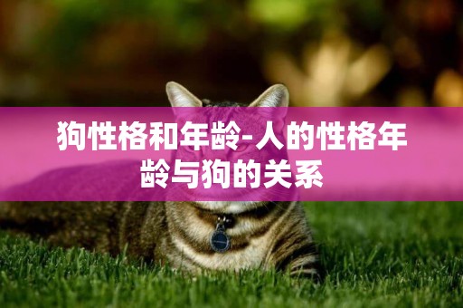 狗性格和年齡-人的性格年齡與狗的關系