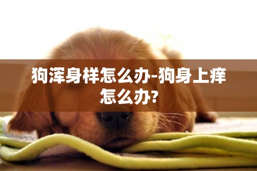 狗渾身樣怎么辦-狗身上癢怎么辦?