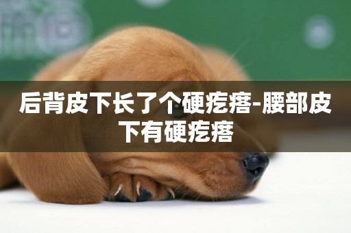 后背皮下長了個硬疙瘩-腰部皮下有硬疙瘩