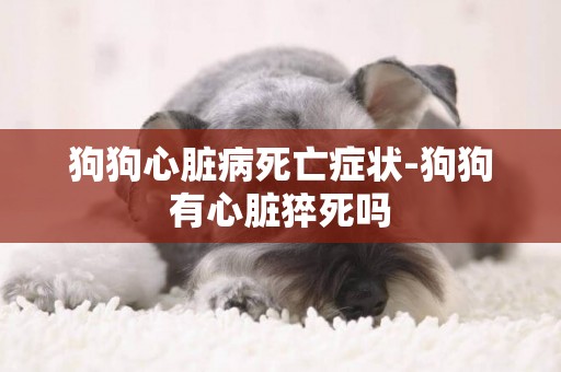 狗狗心臟病死亡癥狀-狗狗有心臟猝死嗎