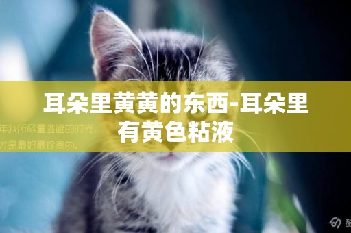 耳朵里黃黃的東西-耳朵里有黃色粘液