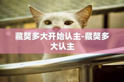 藏獒多大開始認主-藏獒多大認主