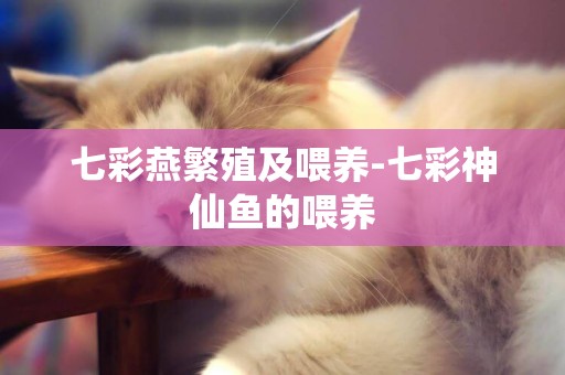 七彩燕繁殖及喂養-七彩神仙魚的喂養