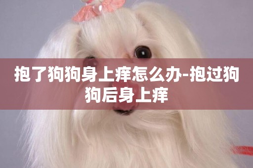 抱了狗狗身上癢怎么辦-抱過狗狗后身上癢
