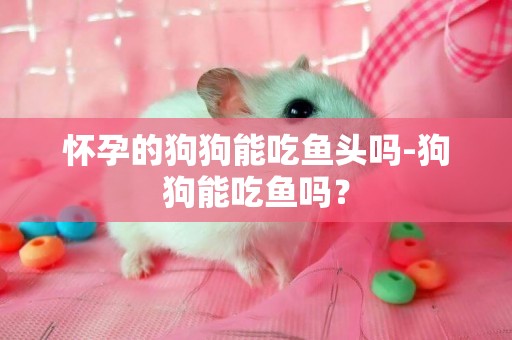 懷孕的狗狗能吃魚頭嗎-狗狗能吃魚嗎？