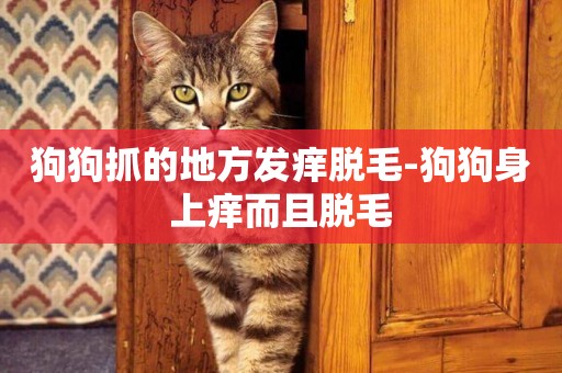 狗狗抓的地方發癢脫毛-狗狗身上癢而且脫毛