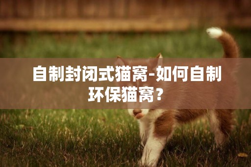 自制封閉式貓窩-如何自制環保貓窩？