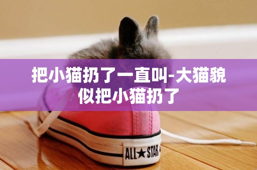 把小貓扔了一直叫-大貓貌似把小貓扔了