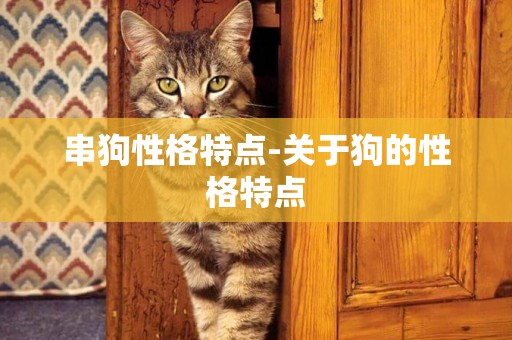 串狗性格特點-關于狗的性格特點