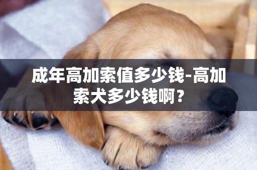 成年高加索值多少錢-高加索犬多少錢啊？