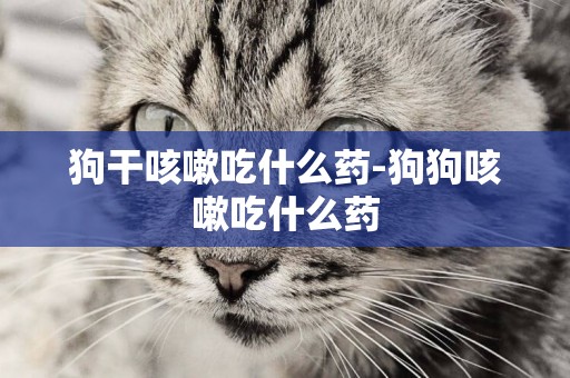狗干咳嗽吃什么藥-狗狗咳嗽吃什么藥
