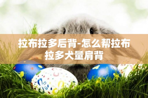 拉布拉多后背-怎么幫拉布拉多犬量肩背