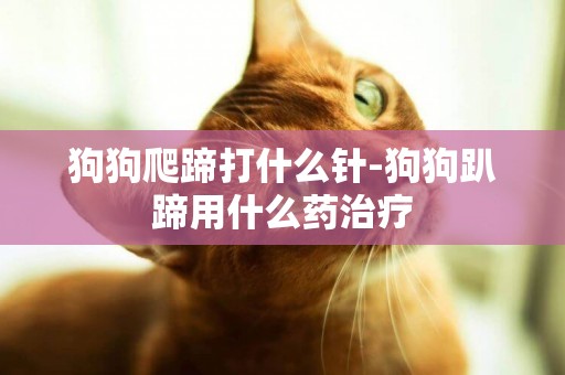 狗狗爬蹄打什么針-狗狗趴蹄用什么藥治療