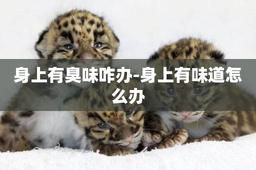 身上有臭味咋辦-身上有味道怎么辦