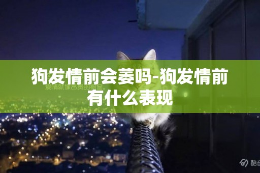 狗發情前會萎嗎-狗發情前有什么表現
