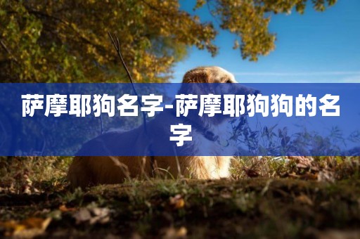 薩摩耶狗名字-薩摩耶狗狗的名字