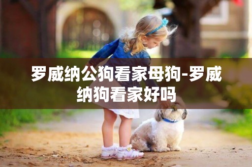 羅威納公狗看家母狗-羅威納狗看家好嗎