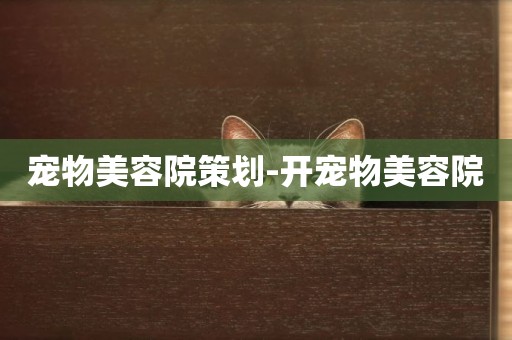 寵物美容院策劃-開寵物美容院