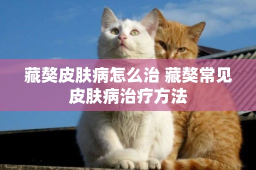 藏獒皮膚病怎么治 藏獒常見皮膚病治療方法