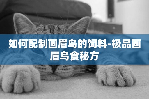 如何配制畫眉鳥的飼料-極品畫眉鳥食秘方